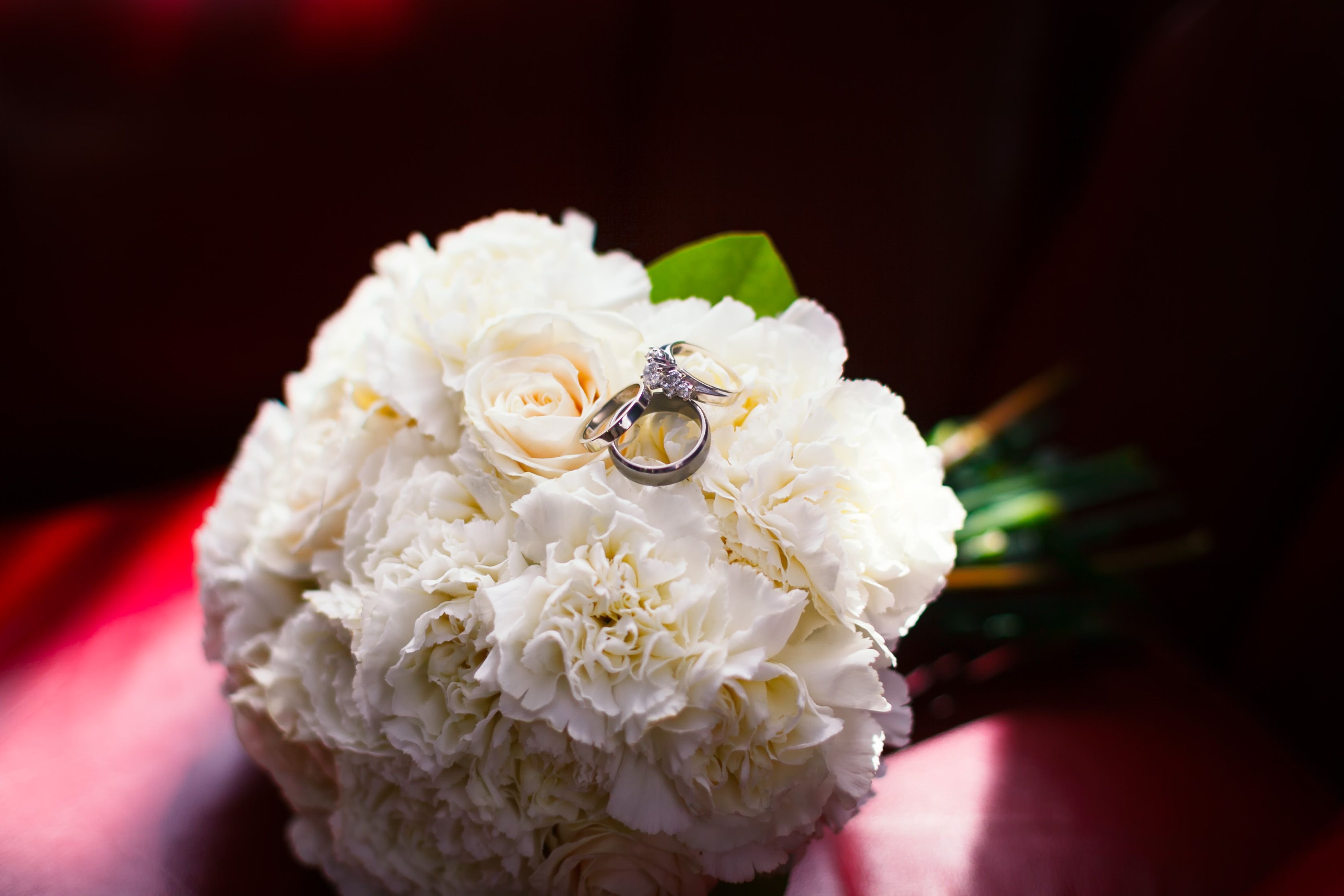 Wedding rings in natural light